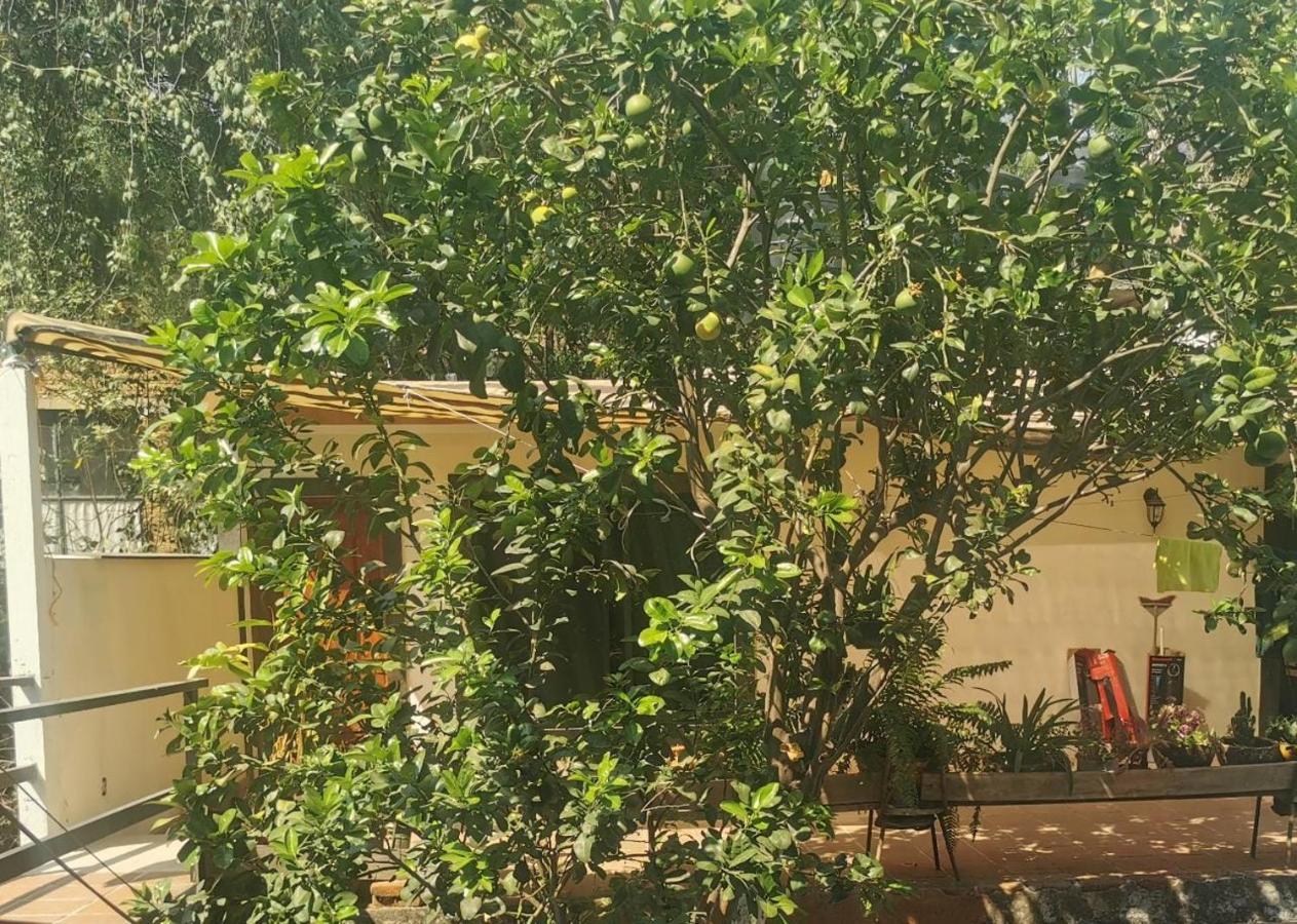 Casa Momotus Apartment Tepoztlan Ngoại thất bức ảnh
